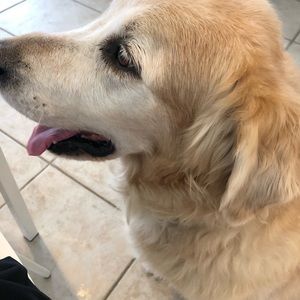 Meet your Posher, Orly